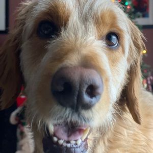 Meet your Posher, Renee